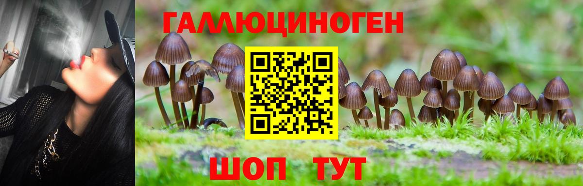 Псилоцибиновые грибы MAGIC MUSHROOMS  Вход с VPN  Строитель 